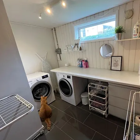 House For Rent During Ons 2024 Semesterbostad